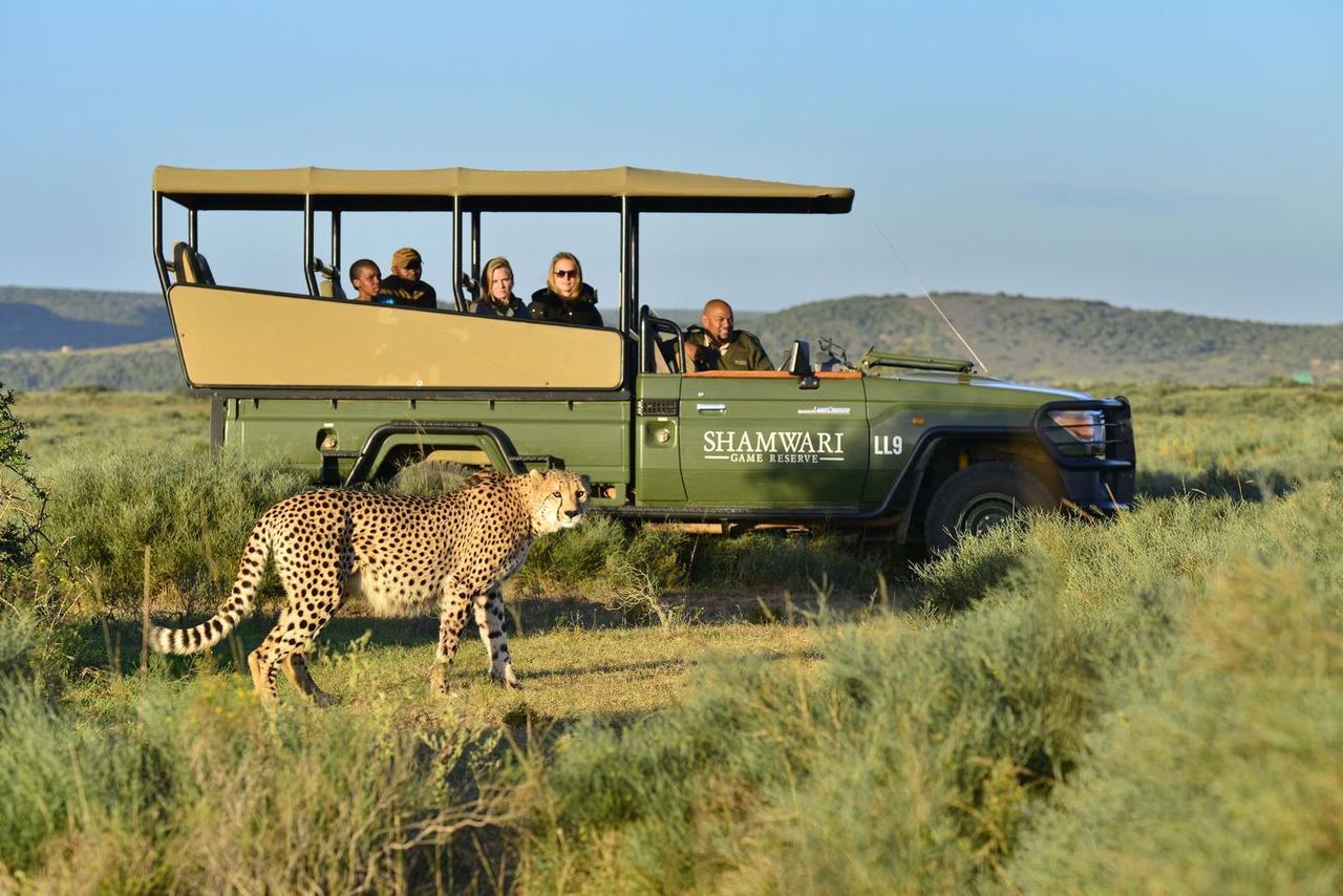 Willa Shamwari Eagles Crag Port Elizabeth Zewnętrze zdjęcie